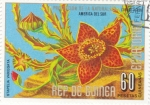 Stamps Equatorial Guinea -  FLORES- STAPELIA VARIEGATA 