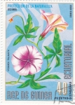 Stamps Equatorial Guinea -  FLORES- IPOMEA PALMATA 