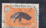 Stamps Ecuador -  OSO HORMIGUERO 