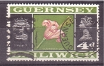 Stamps Europe - Jersey -  Isla del Canal de la Mancha