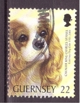 Stamps Jersey -  Centenario club canino