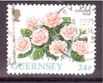 Stamps Europe - Jersey -  Rosa común