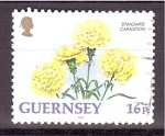 Stamps Europe - Jersey -  Clavel
