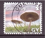 Stamps Jersey -  serie-125 aniv. Sociedad Guernesa