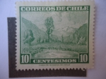 Stamps Chile -  Valle del Maule - Región Vinícola de Chile