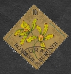 Stamps Burundi -  C19 - Ansellia