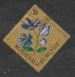 Stamps Burundi -  C21 - Schizoglossum