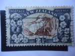 Sellos de Oceania - Nueva Zelanda -  Monte Cook-(3724 Metros)