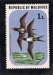 Stamps Asia - Maldives -  Aves