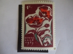 Stamps Russia -  Amapolas - Flores.