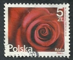Sellos de Europa - Polonia -  Rosa