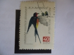 Stamps Romania -  Trago de Granero (Hirundo rustica) Aves Cantoras