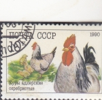Stamps Russia -  GALLO