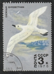 Stamps Russia -  4499 - Fauna de La Antártida