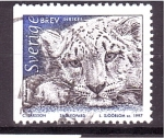 Stamps Sweden -  Leopardo