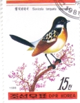 Stamps North Korea -  AVE- SAXICOLA TORQUATA 