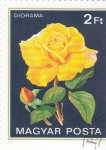 Sellos de Europa - Hungra -  ROSA AMARILLA