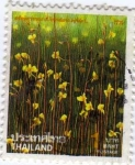 Stamps : Asia : Thailand :  