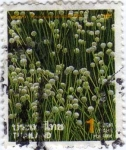 Stamps Thailand -  