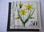 Sellos de Europa - Alemania -  Gages Arvensis-liliopsida -Alemania Berlin.