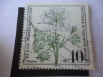 Stamps Germany -  Orlaya Grandiflora - Breitsame. Alemania Berlín.