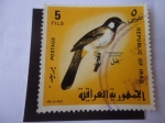 Stamps Iraq -  Pycnonotus Leocotis .