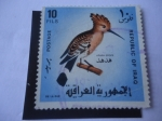 Stamps : Asia : Iraq :  Upupa Epops - Abubilla euroasiática - República de Iraq