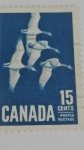 Stamps Canada -  Branta Canadienses