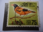 Stamps : Asia : Sri_Lanka :  Oriole de Capucha Negra(Oriolus xanthornus ssp. ceylonensis - Ceilan 