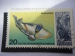 Sellos de Europa - Alemania -  Picassofisch - 25 Aniversario de la reapertura del Acuario en el Zoológico de Berlín.