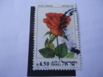 Sellos de Asia - Israel -  Rosa Hibrida - Rosas de Israel.