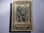 Sellos de America - Costa Rica -  Piña - Feria Nacional, Agrícola Ganadera  e Industrial-Cartago 1950 