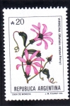 Stamps Argentina -  FLORES-VIRREINA