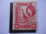 Stamps United Kingdom -  Girafa - África del Este británica-Kenia-Uganda y tangani.