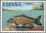 Stamps Spain -  2406 - Fauna hispánica - Carpa
