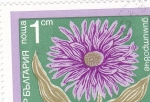 Stamps : Europe : Bulgaria :  FLORES-