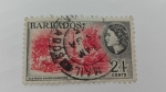 Stamps Barbados -  Old man
