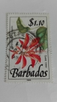 Sellos de America - Barbados -  Flor