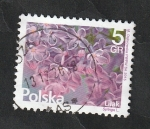 Stamps Poland -  4455 - Flores Lilas