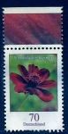 Stamps Germany -  Flor