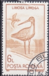 Stamps : Europe : Romania :  AVE-LIMOSA LIMOSA