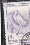 Stamps Romania -  AVE- EGRETTA GARZETTA