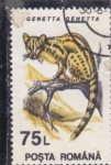 Stamps Romania -  GINETA