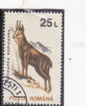 Stamps Romania -  CABRA