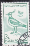 Stamps Romania -  AVE- VANELLUS