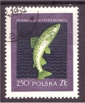 Stamps Poland -  serie- Peces
