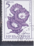 Stamps Bulgaria -  FLORES-CONVOLVULUS TRICOLOR