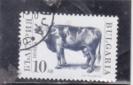 Stamps Bulgaria -  VACA