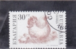 Stamps : Europe : Bulgaria :  GALLINA Y POLLUELOS