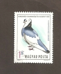 Stamps Hungary -  Exposición internacional de palomas en Budapest